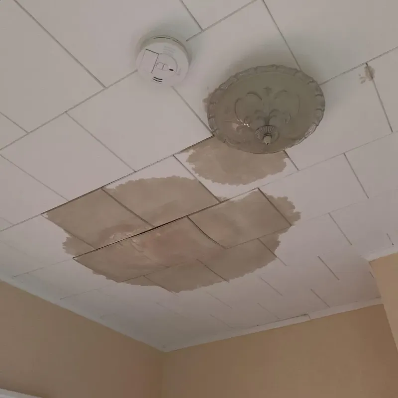 Ceiling Water Damage Repair in Clymer, NY