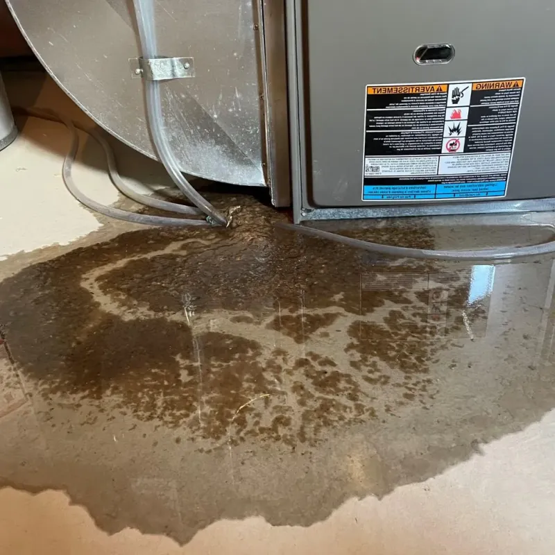 Pipe Burst and Leak Restoration in Clymer, NY